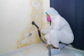 Best HVAC Mold Inspection and Cleaning  in Fairplay, GA